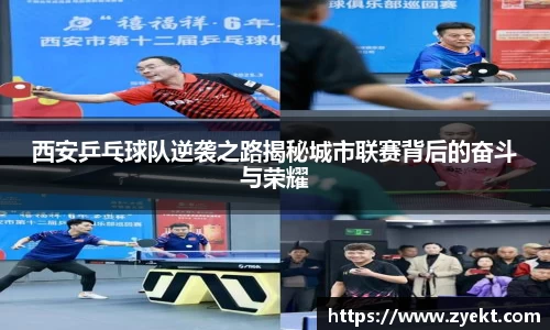 OD体育官网