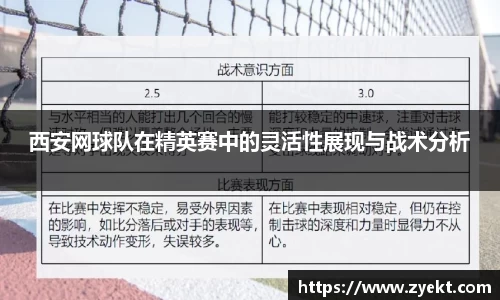 OD体育官网